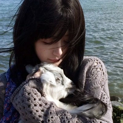 神犬出击